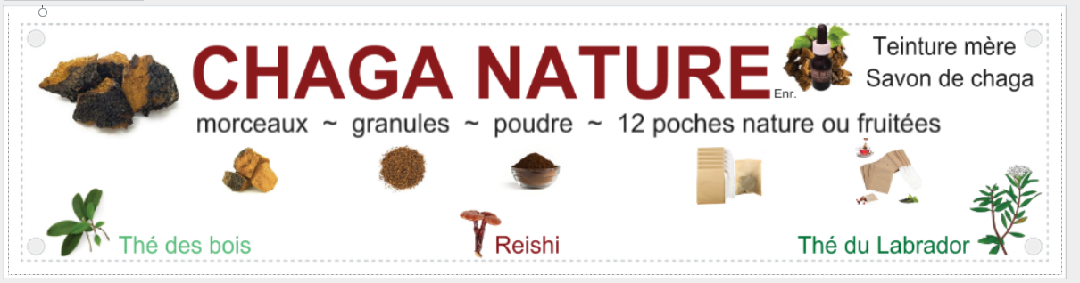 chaga nature